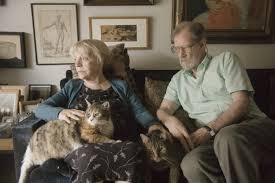 gatos.jpg